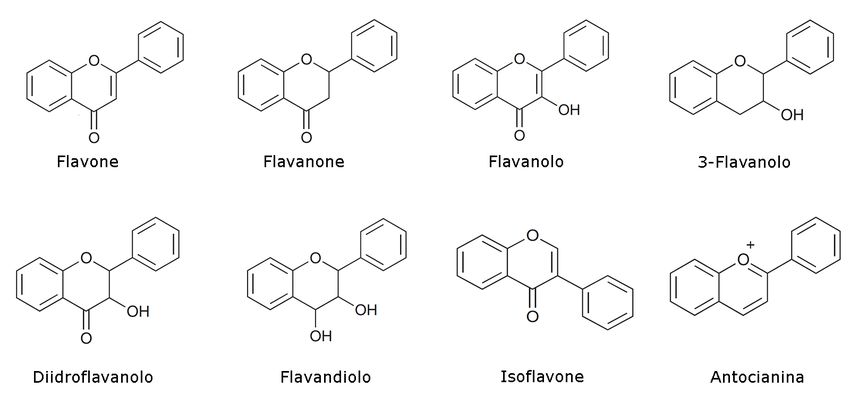 struttura chimica delle principali classi di flavonoidi