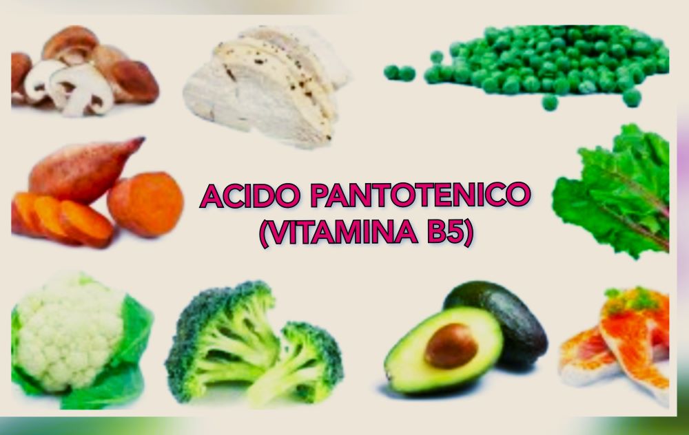 fonti alimentari ricche di vitamina b5