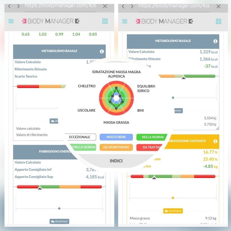 report BIA metabolismo basale