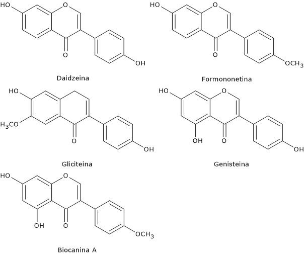 struttura chimica degli isoflavoni