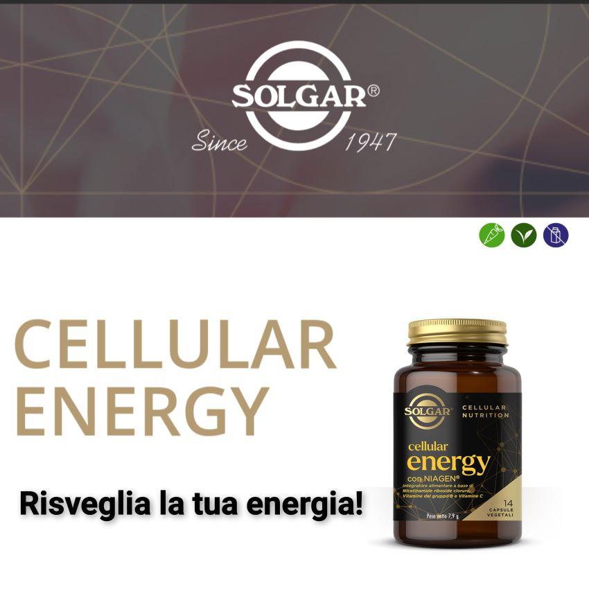 cellular energy integratore alimentare solgar cellular energy integratore alimentare solgar